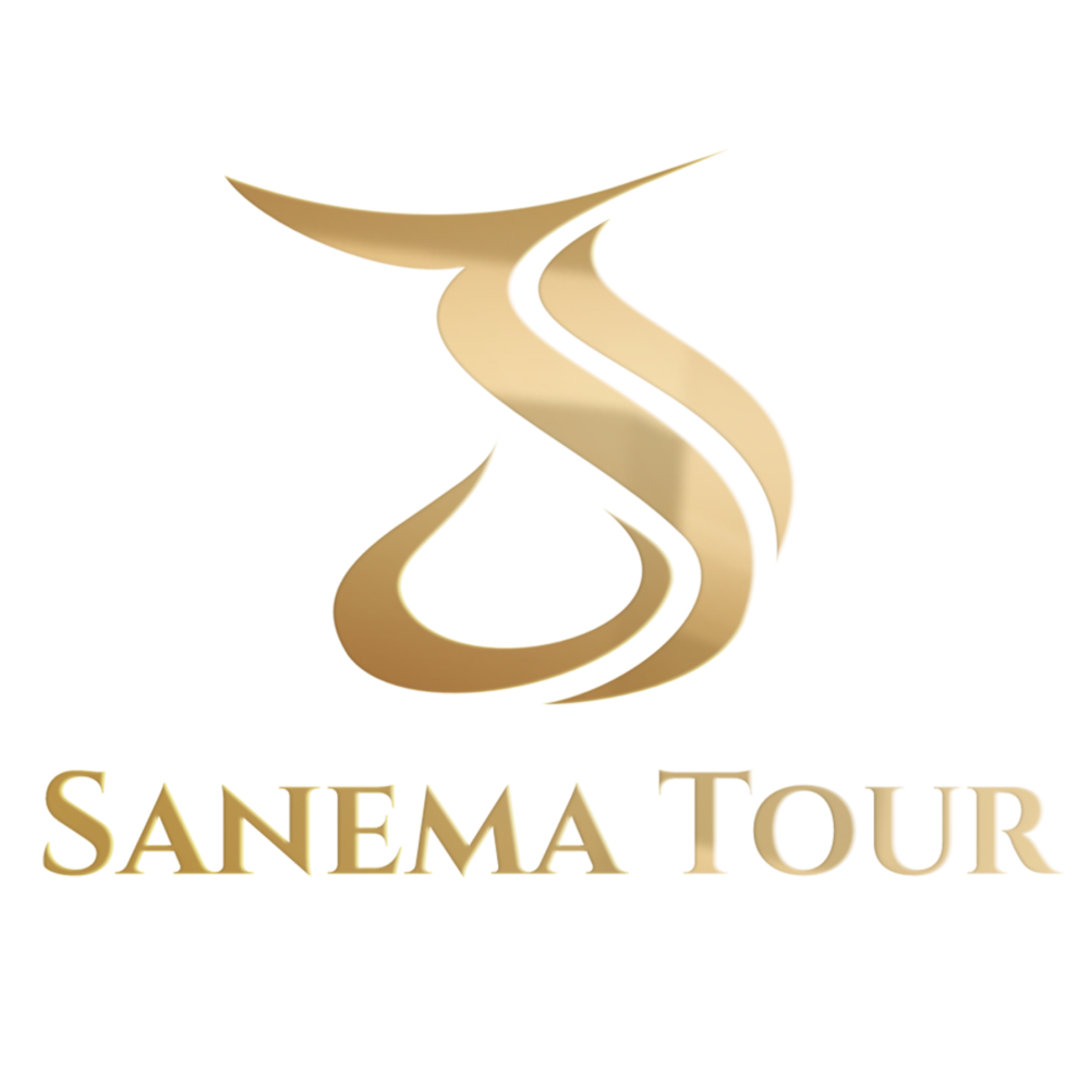 LOGO SANEMA POTRAIT